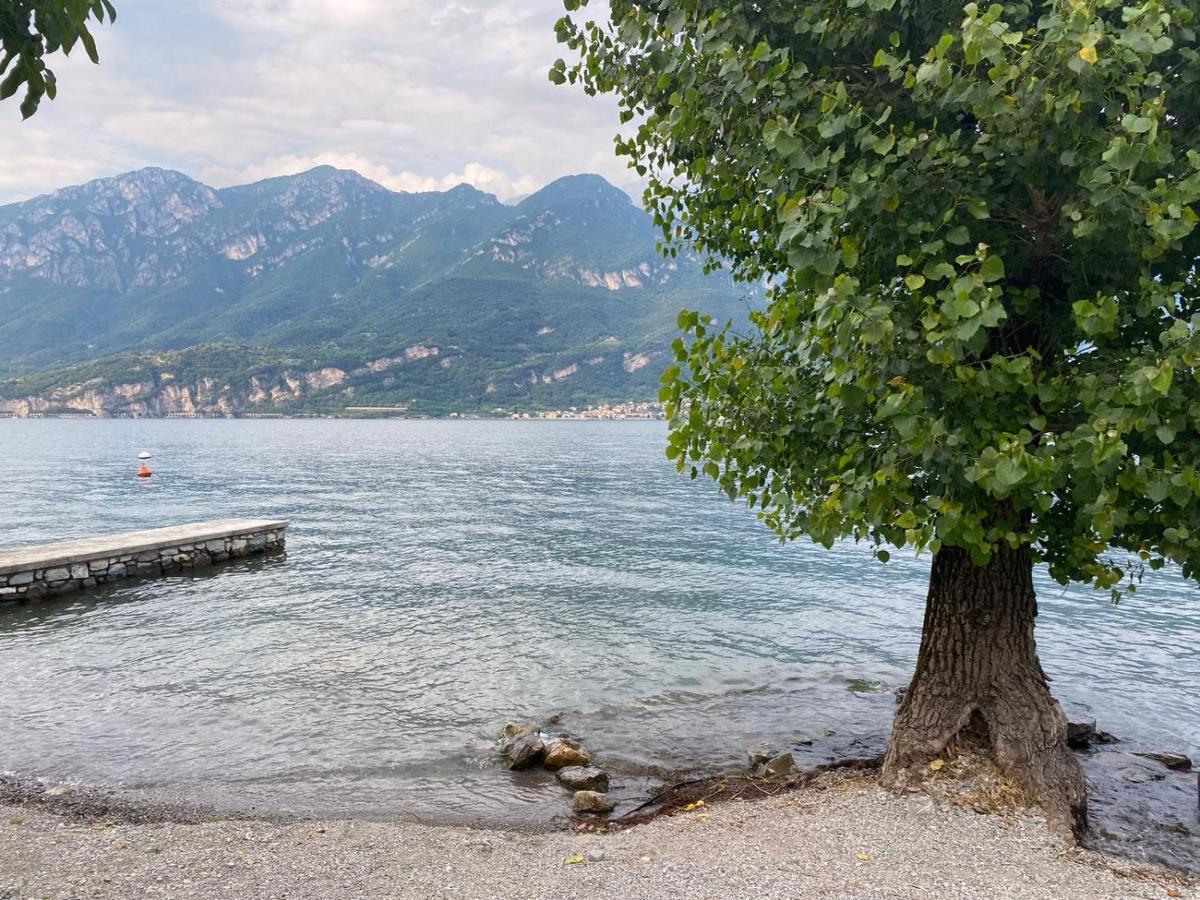 Al Cottage Oliveto Lario Buitenkant foto